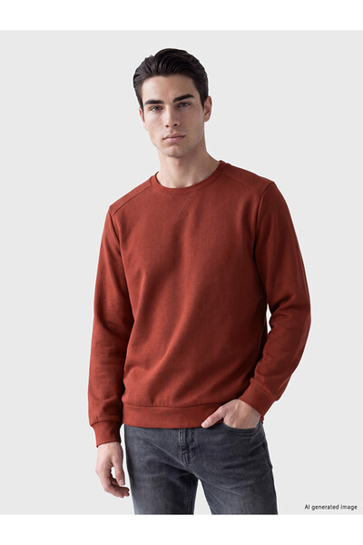LC Waikiki Ανδρικό φούτερ Crew Neck