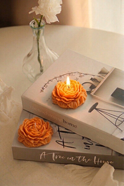 MAK CANDLE 5’li Paket Suda Yüzen Şakayık Mum Dekoratif ve Hediyelik