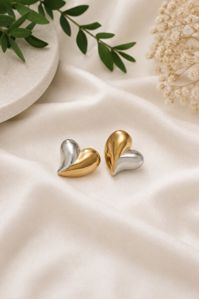 Archhazel Jewelery Steel Double Color Heart Earrings