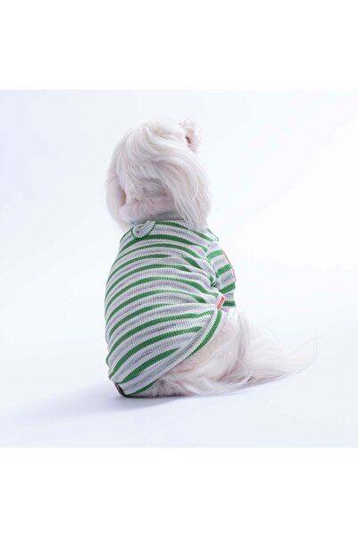 Pawstar Green Marseille Softline Striped Cat Dog Sweati Dog Outfit Cat Outfit