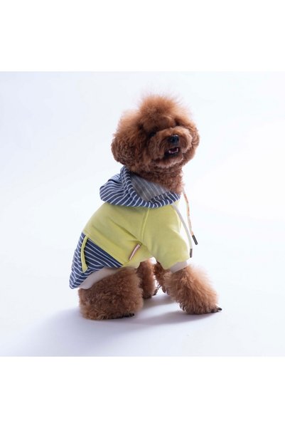 Pawstar Green Sera Stripe Dog Hoodie Dog Sweatshirt Dog Outfit Cat Outfit
