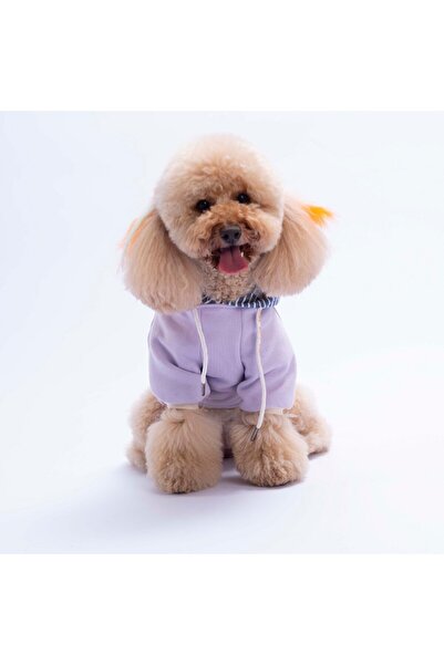 Pawstar Lila Sera Stripe Dog Hoodie Dog Sweatshirt Dog Outfit Cat Outfit
