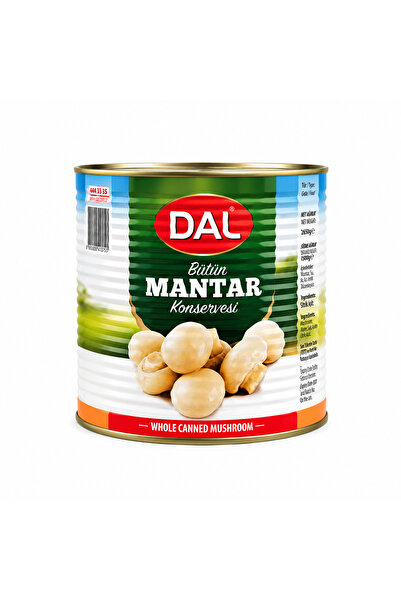DAL KONSERVE MANTAR BÜTÜN 2650GR.