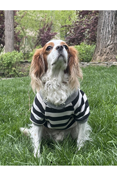 Suçlu Pijama