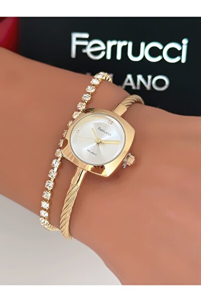 Ferrucci Steel Strap Special Design Women's Wristwatch with 2 Years Warranty,...