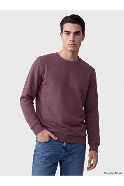LC Waikiki Plum Crew Neck Men's Thick Sweatshirt (W6)