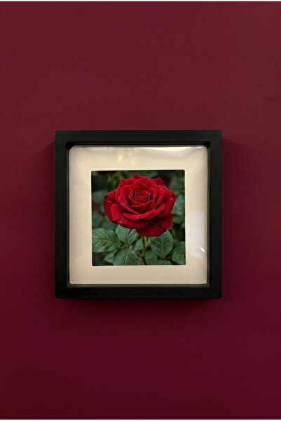 fy design 14x14 Sök Tak Yapışkanlı Fotoğraf Çerçevesi