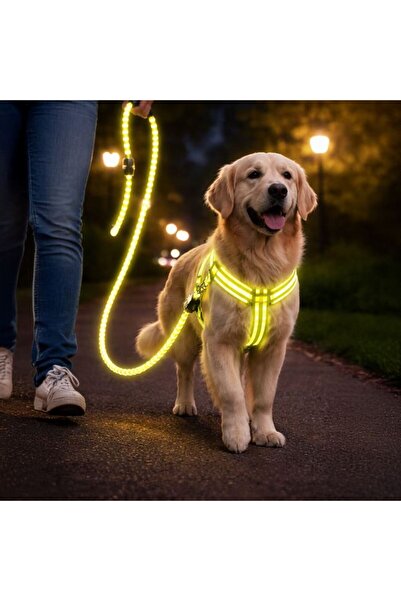 OEM Set Lesa pentru Caine cu Ham Galben Neon