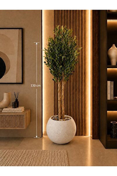 CENTRHOME 130 cm Tall Olive Tree with a Sprayed Trunk