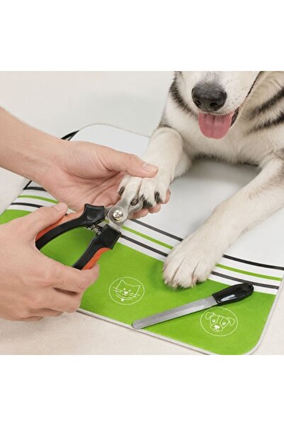 idei Small animal nail care set 13×7 cm, figure eight scissors with sanding f...