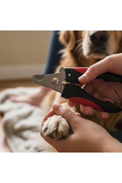 idei Anatomical nail trimmer for animals 6×12 cm, practical scissors for pet ...