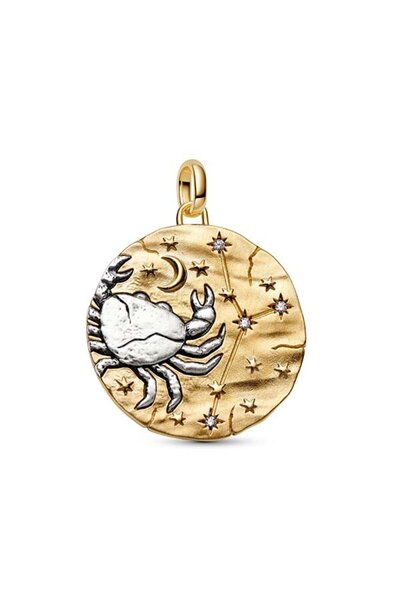 Pandora Yengeç Burcu Büyük Boy Madalyon Charm