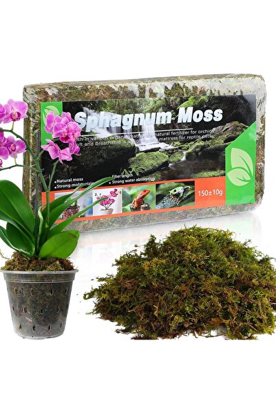 Arabest Natural Dried Sphagnum Moss for Orchids and Succulents,10 qt,2 Pieces