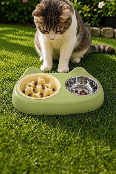 Weather Forecast Çelik 360 ml Plastik Yeşil Kaymaz Taban Yavaş Yeme Kedi Köpe...