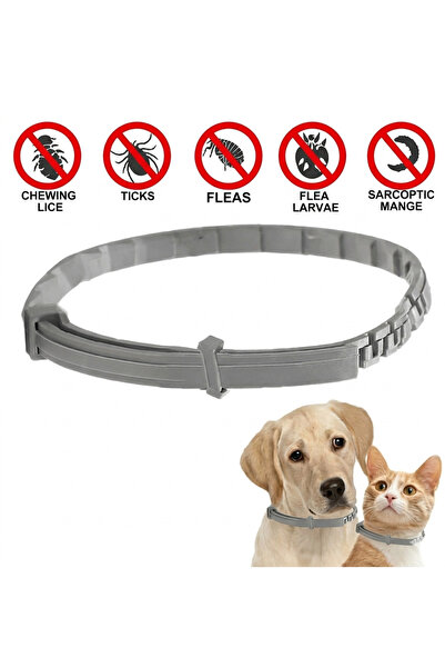 Genel Markalar Kedi-Köpek Anti Pire Kene Önleyici Tasma- Pire Önleyici Tasma-...