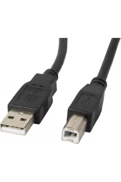 Lanberg Cablu CA-USBA-11CC-0010-BK USB - USB-B 1m Negru