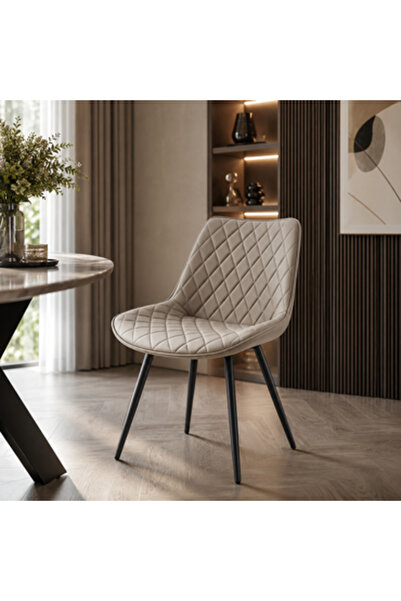 N.zone Modern brown seating chair