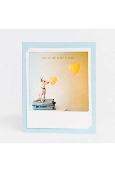 DANN French Card