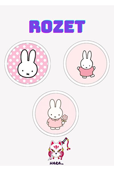 Hara Company Miffy Rozet Seti 3’lü