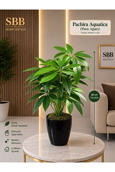 SBB Yapay Ağaç Para Ağacı 80 Cm Dekoratif Plastik Saksıda Yosunlu 18 Dallı