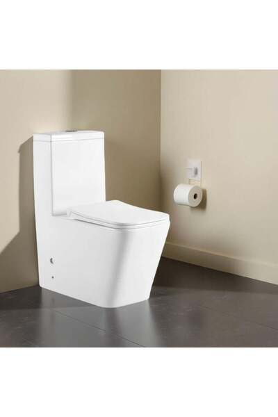 Milano Luxe Rimless WC One Piece S-Trap 250Mm 1911 660x350x800Mm White