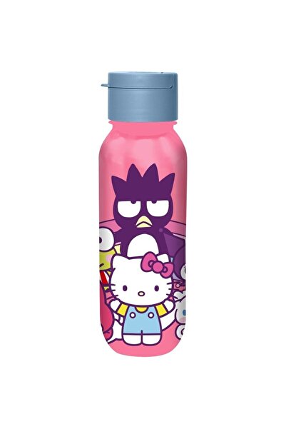 Kids Αλουμινένιο Παγούρι Νερού Hello Kitty 500ml (HK50204)
