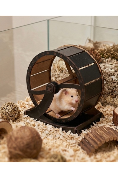 Getreide Hamster Koşu Bandı