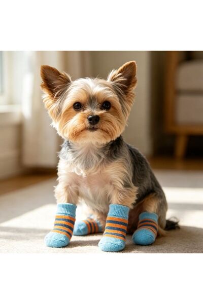 idei Set of 4 dog paw protection socks, size M 7.5*3cm, Stretchy design with ...