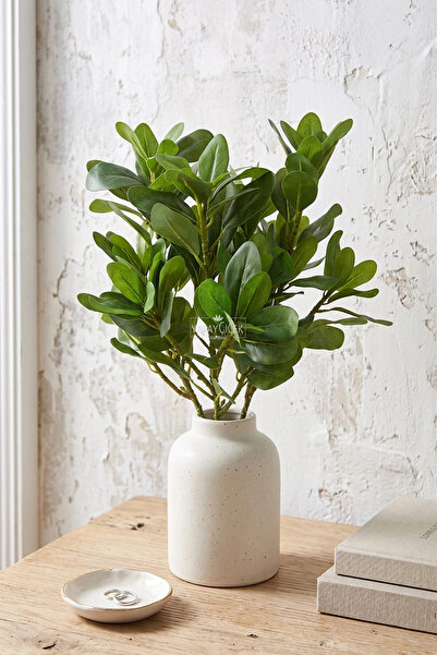 Yapay Çiçek Deposu Plantă Artificială Plantă Botanică Modernă Kraton 40 cm Verde