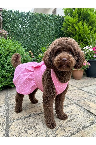 Genel Markalar Pembe Yıldız Desenli Fırfırlı Köpek Elbisesi – Sevimli Köpek K...