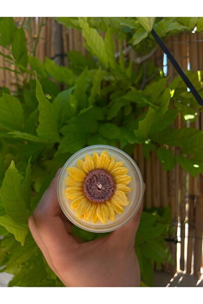 SunFlower El Yapımı Ayçiçeği Tasarımlı Soya Mum - Özel Cam Bardakta Dekoratif Hediyelik Mum Sedir kokusu