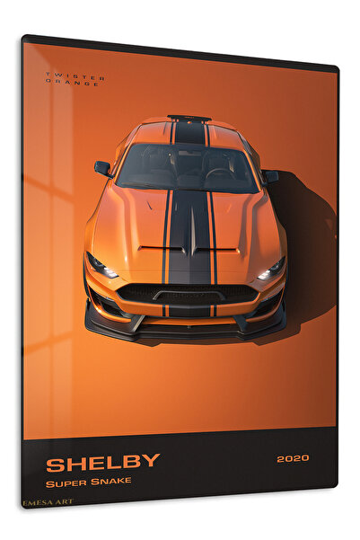 Emesa Art Orange Shelby Mustang Racing Stripe Metal Wall Art