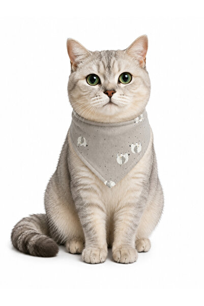 WODDY Cat Dog Collar with Scarf
