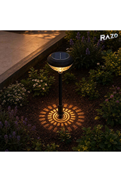 Razo Set 2 lămpi solare multicolore pentru grădină RAZO, Negru