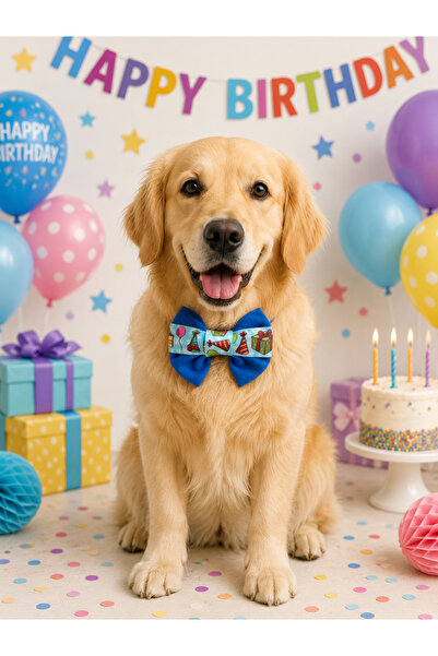 DOGİ&DOG Mavi Renk Doğum Günü Temalı Köpek Papyonu Kedi Papyonu (1-50KG)