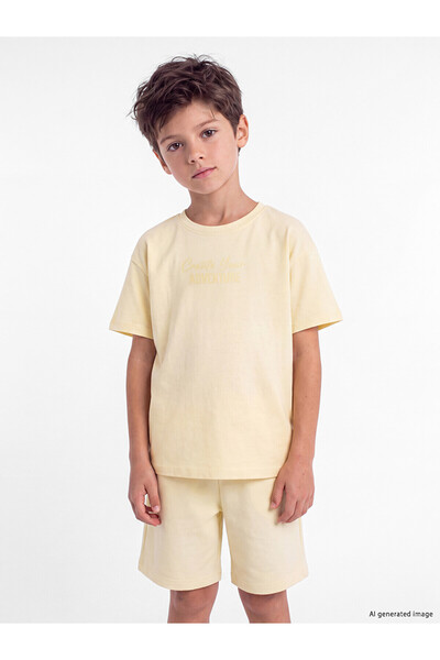 LC Waikiki Two Mt Shop Quality Oval Collar Printed Boys' T-Shirt