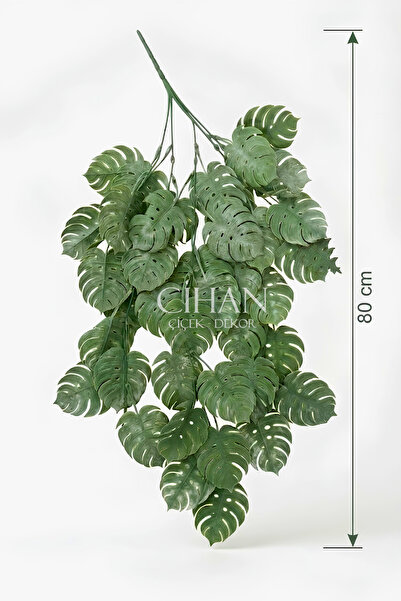 Cihan Çiçekçilik Yapay Sarkan Deve Tabanı (Monstera) Bitkisi 80 cm - Pudralı ...