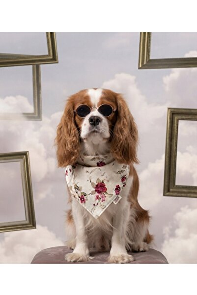 8-15 kg orta ırk köpek pet bandana