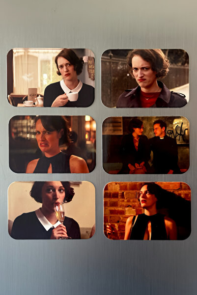 Cool Stuff Studio Fleabag 6'lı Buzdolabı Magneti
