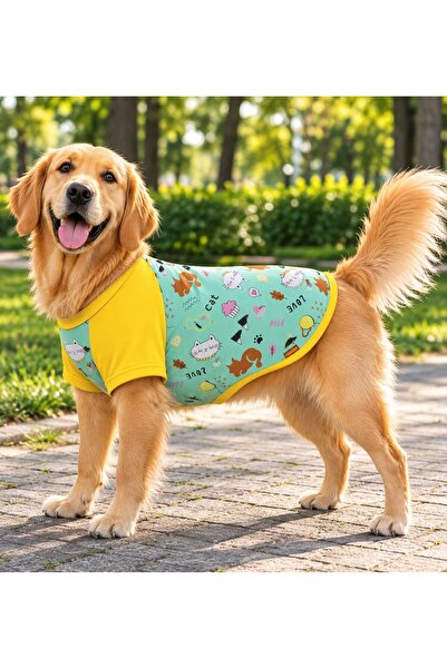 Patişon büyük ırk love desenli köpek tişörtü.