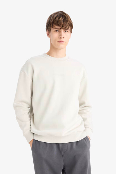 DeFacto Boxy Fit Soft Fleece Stone Men's Sweatshirt X8282Az/Bg672