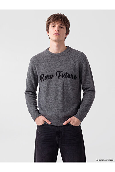 LC Waikiki Vizyon New Season Anthracite Crew Neck Printed Men's Knitwear Sweater