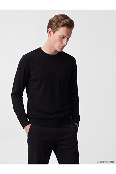LC Waikiki Vizyon New Season Crew Neck Men's Knitwear Sweater