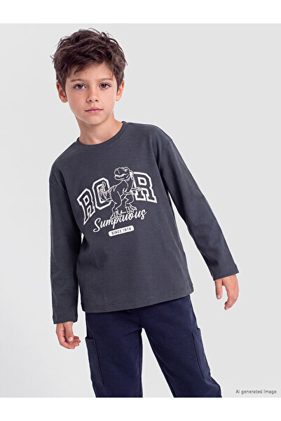 LC Waikiki Crew neck printed boys' t-shirt