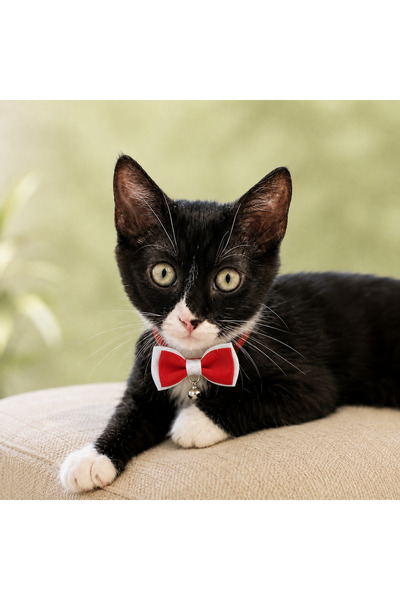 Çilek Garden Pet Papyonlu Çanlı Ayarlanabilir Kedi ve Küçük Irk Köpek Tasması 17–27 cm