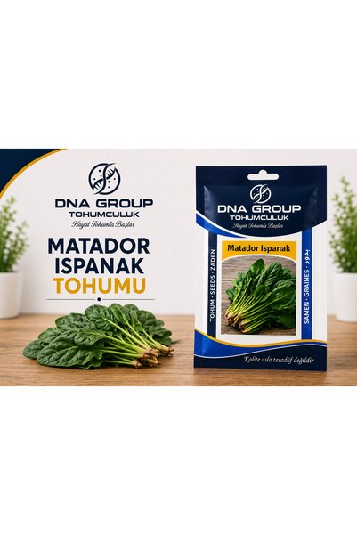 ISPANAK (MATADOR) tohumu yerli standart net 10 gr 1000+ adet