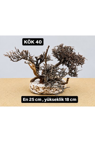 KÖK 40