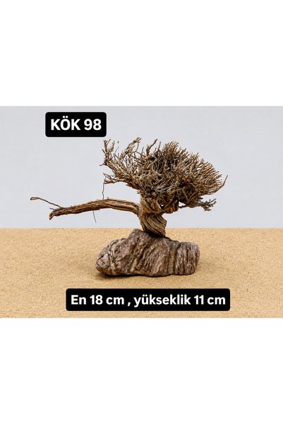 KÖK 98