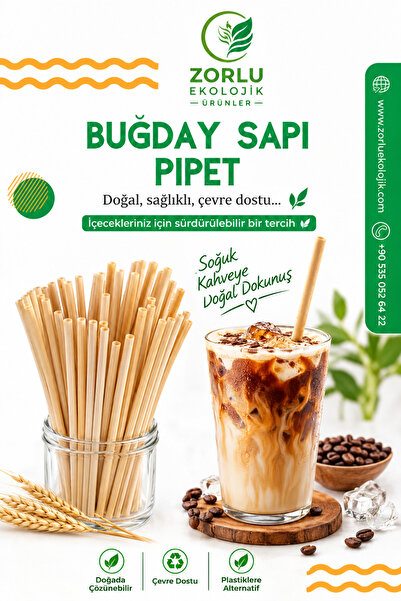 Zorlu Ekolojik Ürünler Buğday Sapı Bitki Pipet 15 cm 500 AdetKısa Kokteyl Pip...