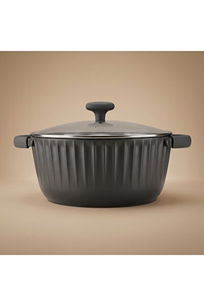 ROBUST Tefal 24cm Deep Cooking Pot with Handles and Glass Lid - Dark Grey